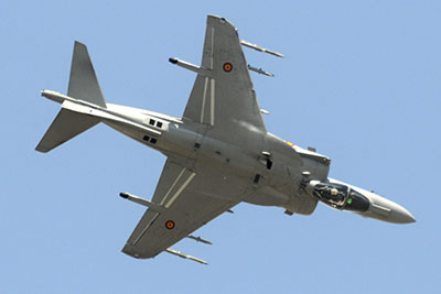 harrier-web harrier-web